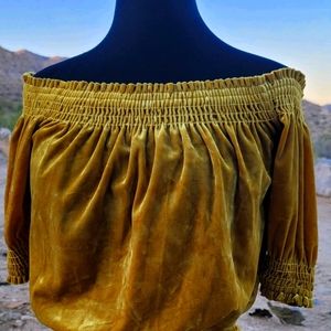 Ladies gold Velvet top